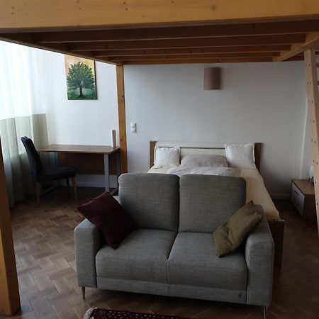 Ferienwohnung Unterhalb Der Heidecksburg รูโดลชตัดท์ ภายนอก รูปภาพ